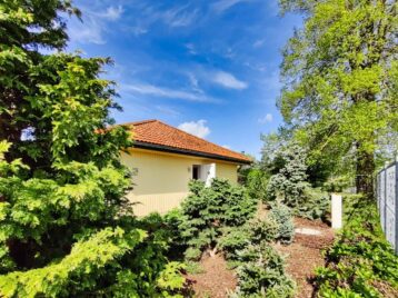 Ferienhaus-Usedom-Haus-am-Ellerbruch-15 Ferienhaus Usedom Haus am Ellerbruch 15 1