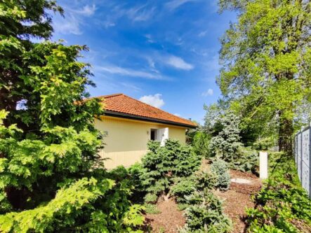 Ferienhaus Usedom Haus am Ellerbruch 15 1